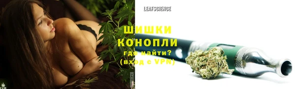 spice Волосово