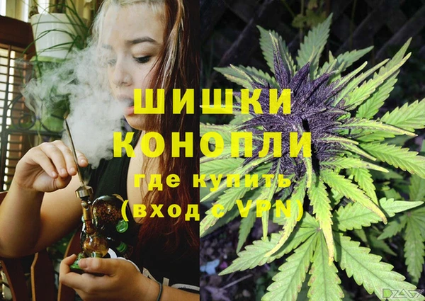 spice Волосово