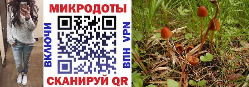 где купить наркотик  Махачкала  Галлюциногенные грибы Psilocybine cubensis 